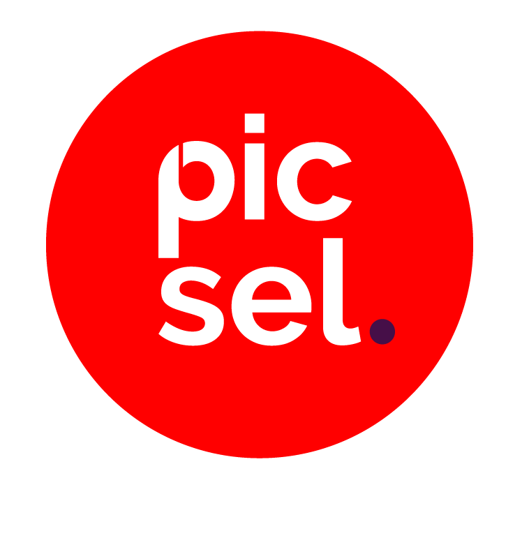 Logo Picsel
